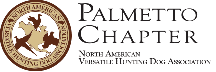 Florida Palmetto NAVHDA